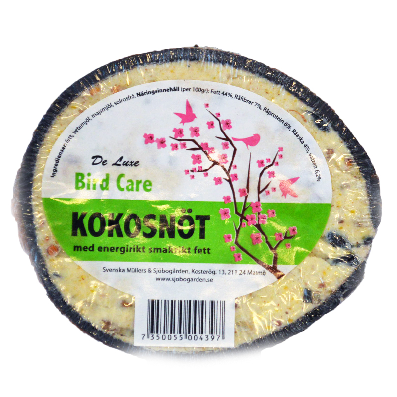 Kokosnöt Med Fett - 75% rabatt
