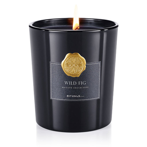Wild Fig Scented Candle