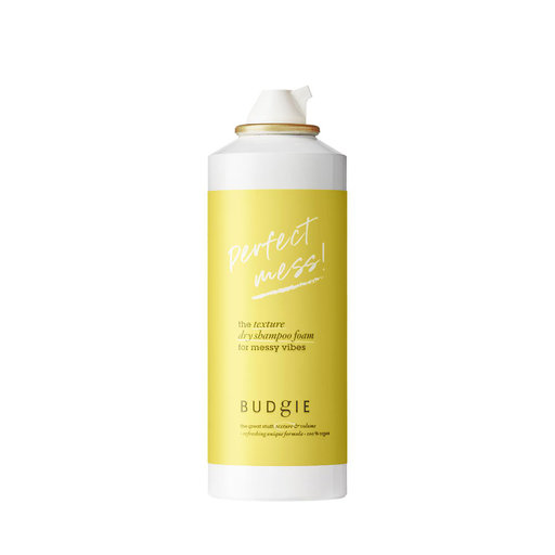 The Texture Dry Shampoo Foam